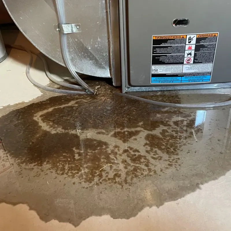 Pipe Burst and Leak Restoration in Fort Stockton, TX